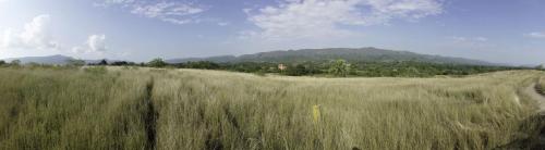 panoramica 1 lotes altos copia